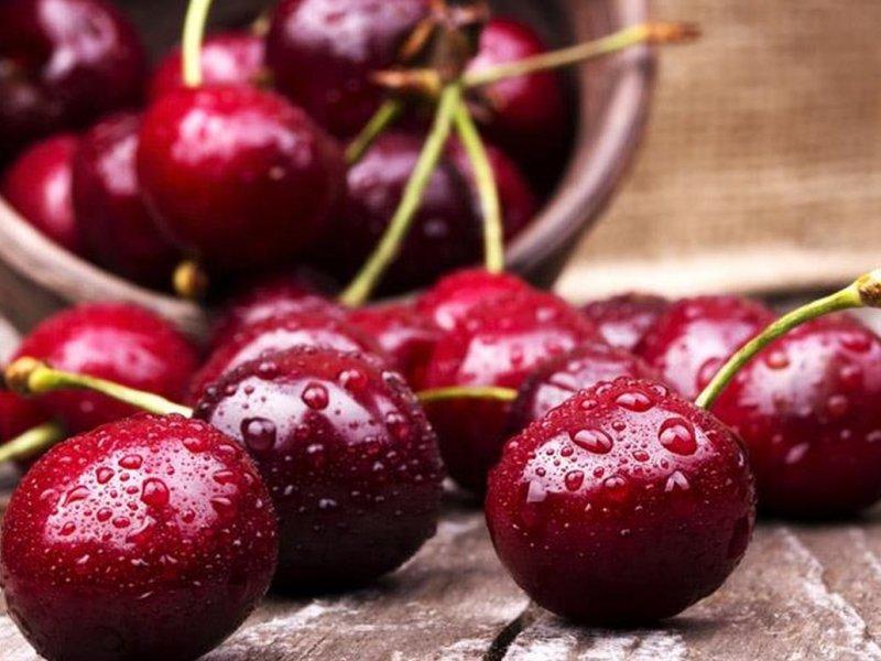 Вишня купить саженцы из питомника в Антраците